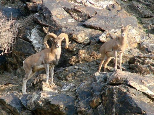 Hiking tour to Sentyab