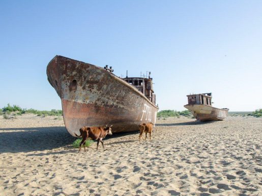 Aral Sea Discovery